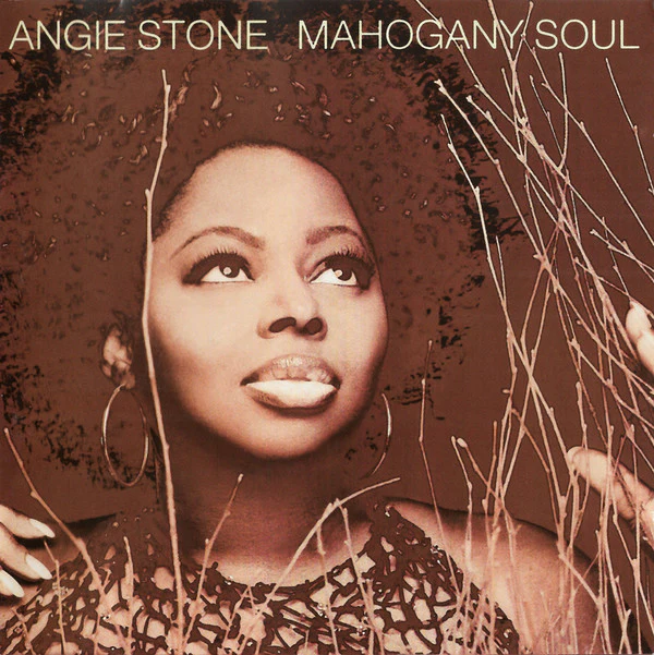 Angie Stone - Mahogany Soul (CD, Album)
