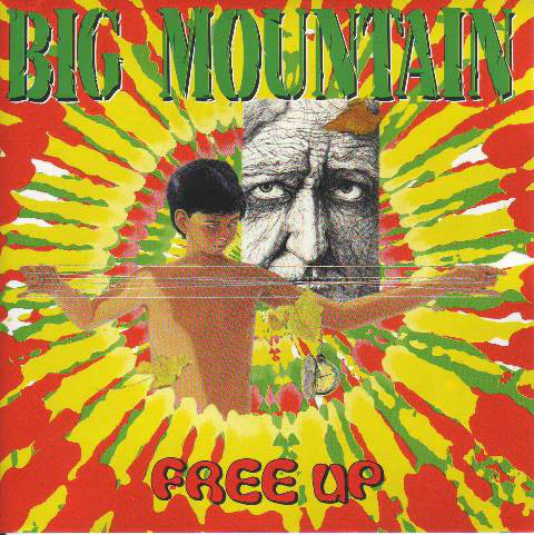 Big Mountain - Free Up (CD, Album)