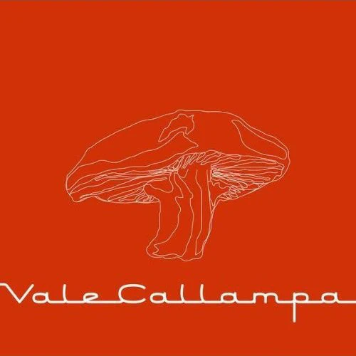 Café Tacvba* - Vale Callampa (CD, EP, Dig)