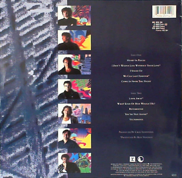Chicago (2) - Chicago 19 (LP, Album) - Image 2