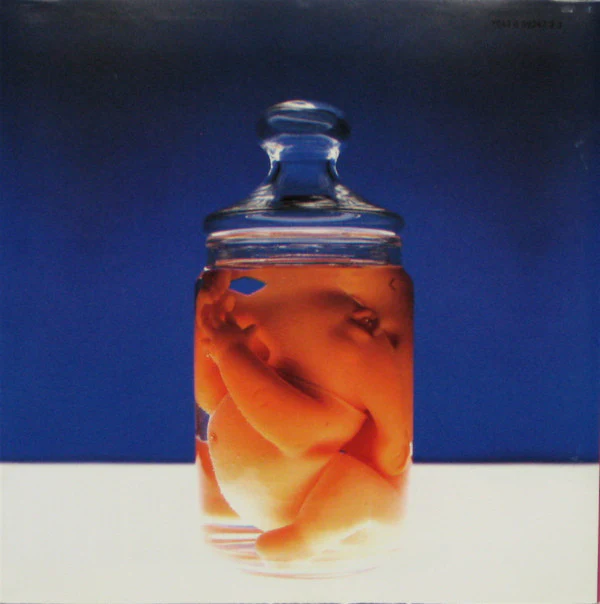 Dubstar (2) - Goodbye (CD, Album) - Image 5