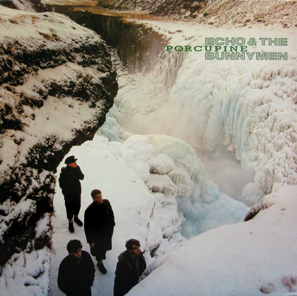 Echo & The Bunnymen - Porcupine (LP, Album)