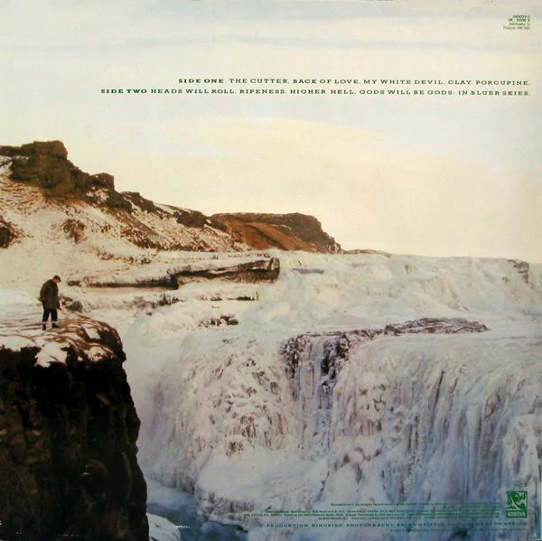 Echo & The Bunnymen - Porcupine (LP, Album) - Image 2