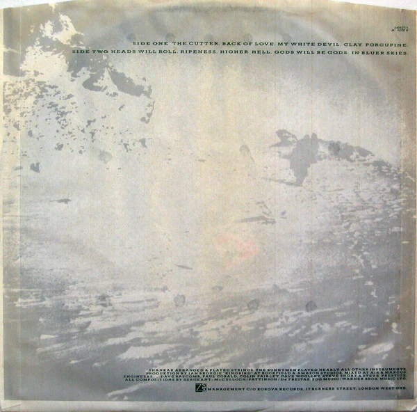 Echo & The Bunnymen - Porcupine (LP, Album) - Image 5