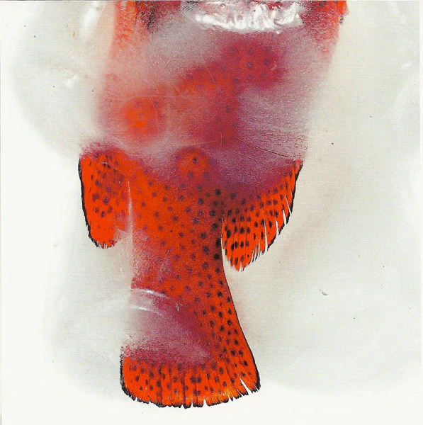 Felix - #1 (CD, Album) - Image 5
