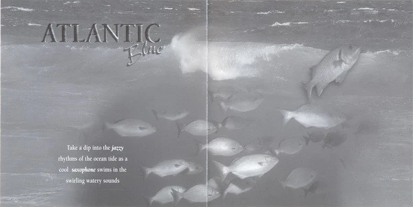 Fred Story - Natural Dreams - Music For Relaxation: Atlantic Blue (CD, Album) - Image 4