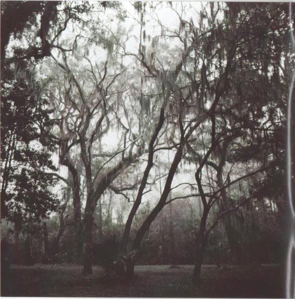 Gregg Allman - Low Country Blues (CD, Album) - Image 3