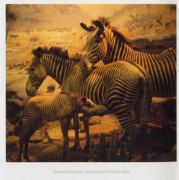 Kosheen - Resist (CD, Album) - Image 4