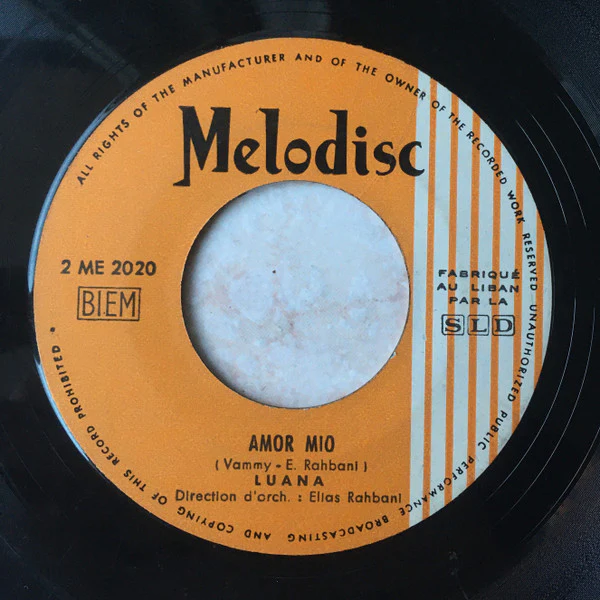 Luana  - Ritornerai / Amor Mio (7") - Image 2