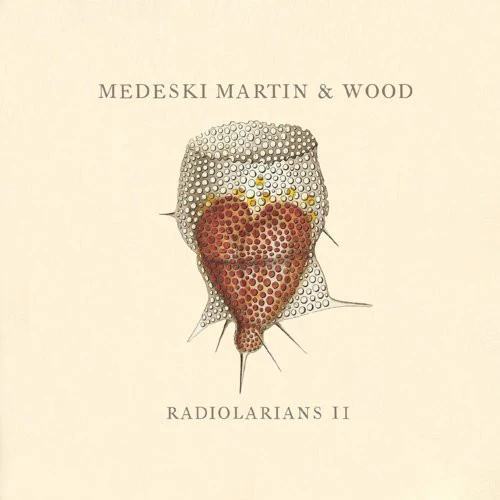 Medeski Martin & Wood - Radiolarians II (CD, Album)