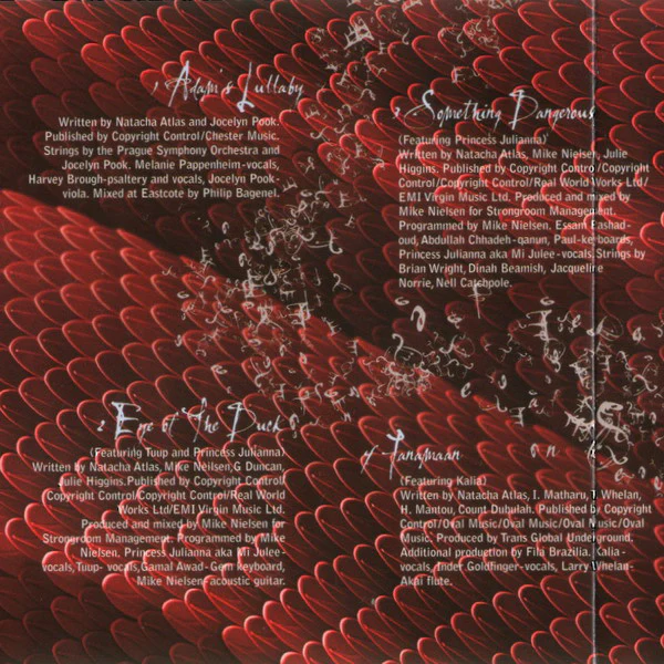 Natacha Atlas - Something Dangerous (CD, Album) - Image 4