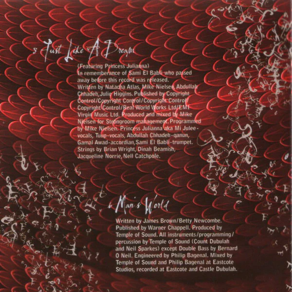 Natacha Atlas - Something Dangerous (CD, Album) - Image 5