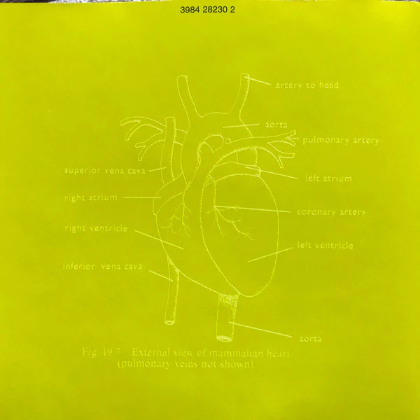 Orbital - Orbital (CD, Album) - Image 4