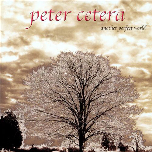 Peter Cetera - Another Perfect World (CD, Album)