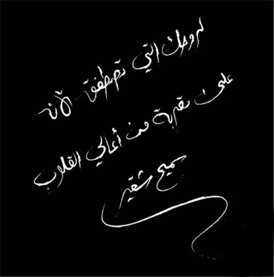 Samih Choukeir* - قيثاراتان (CD, Album) - Image 2