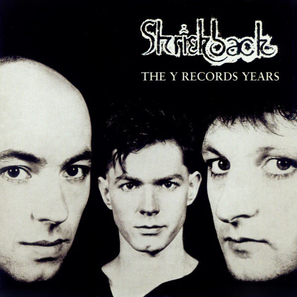 Shriekback - The Y Records Years (2xCD, Comp)
