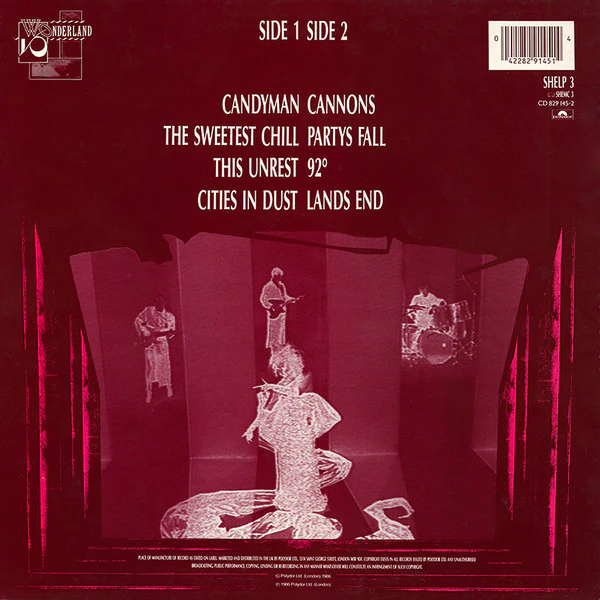 Siouxsie & The Banshees - Tinderbox (LP, Album) - Image 2