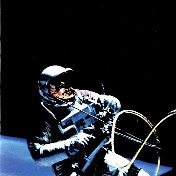 The Afghan Whigs - 1965 (CD, Album)