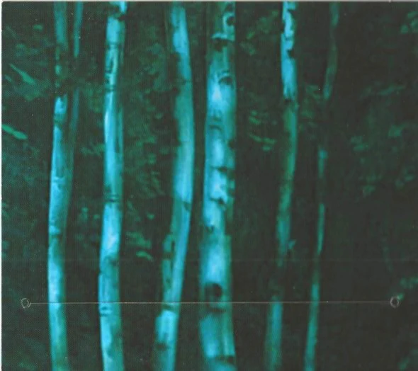 The Paul Schwartz Project* - Earthbound (CD, Album, Dig) - Image 4