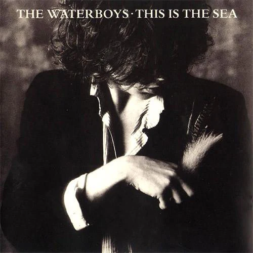 The Waterboys - This Is The Sea (CD, Album, RE)