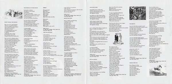 The Waterboys - This Is The Sea (CD, Album, RE) - Image 3
