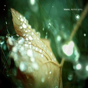 Various - Bésame_Electronic Spring (CD, Comp)