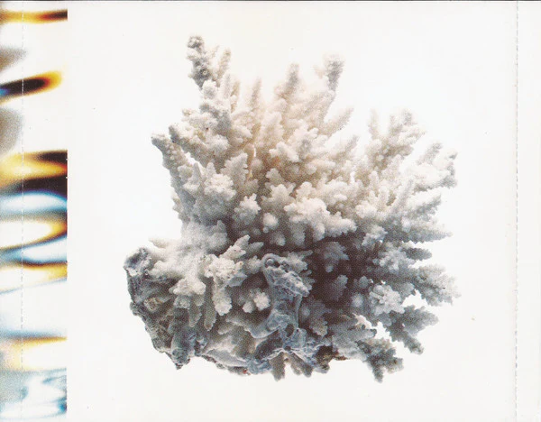 Various - Real Ibiza (2xCD, Comp) - Image 5