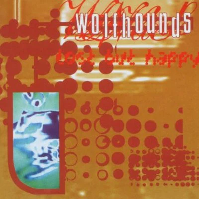 Wolfhounds* - Lost But Happy: The Wolfhounds 1986-1990 (CD, Comp)