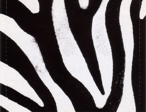 Yello - Zebra (CD, Album) - Image 5